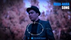 [ID: 0IpVY_fYqMQ] Youtube Automatic