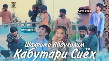 [ID: 1wMI3DWHsFY] Youtube Automatic
