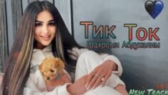 [ID: yRXYqQaSvAY] Youtube Automatic